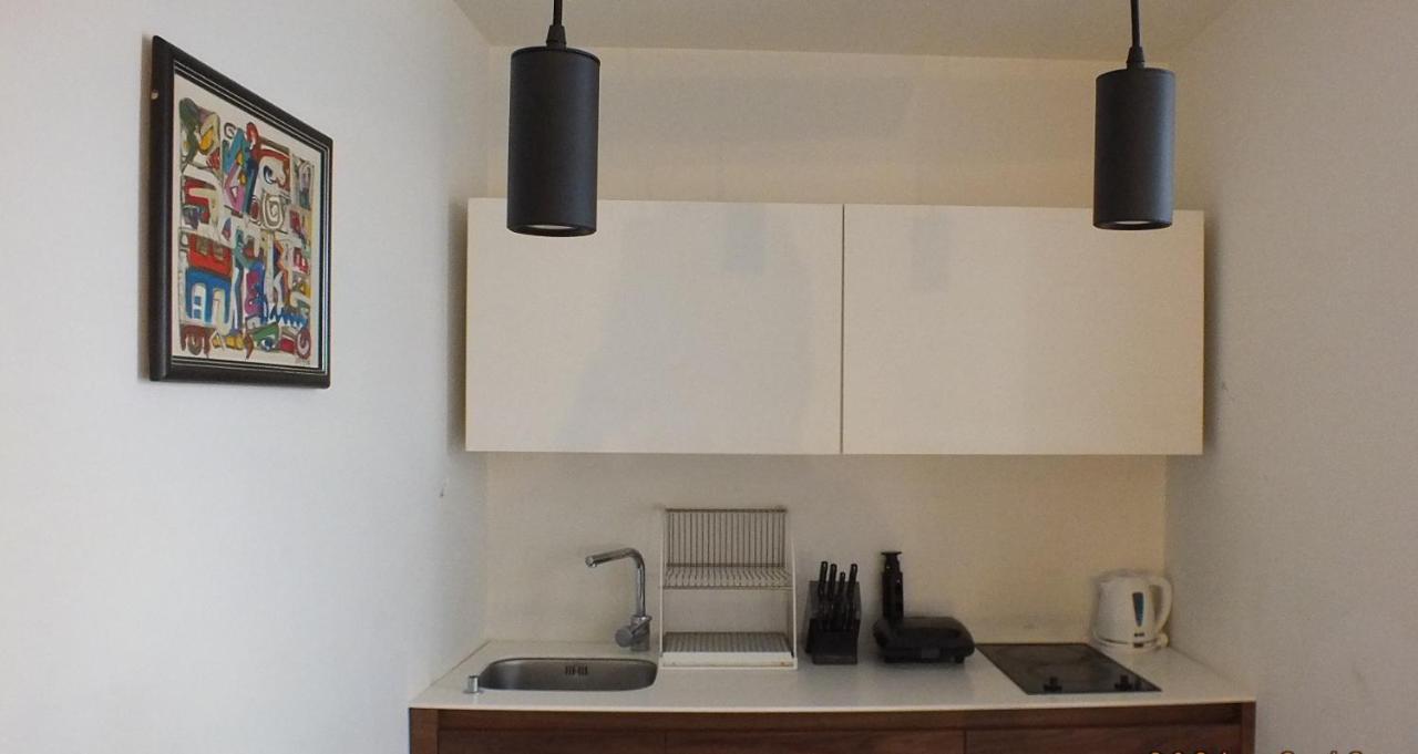 Little L Apartments Dorcol Βελιγράδι Εξωτερικό φωτογραφία